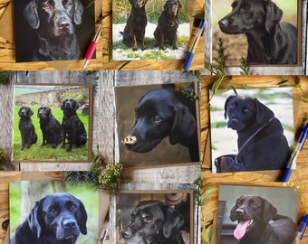 Black Labrador Greeting Cards: Dog Lover Gift, Any Occasion (Set of 9)