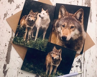 Kraft Wolf Grußkarten: Blanko Innenseite, Kraftpapier Umschläge - 3er Set