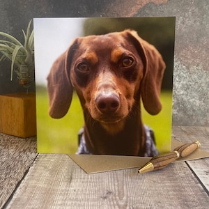 Carte de voeux Daschund miniature - carte d'anniversaire de chien - carte de chien mignon - carte vierge à l'intérieur de n'importe quelle occasion - carte Daschund