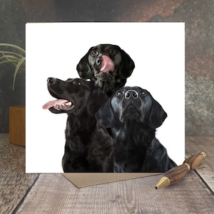 Drie zwarte Labradors-wenskaart - wenskaart voor hondenliefhebber - zwarte Labrador-kaart - gelukkige verjaardagskaart - blanco van binnen