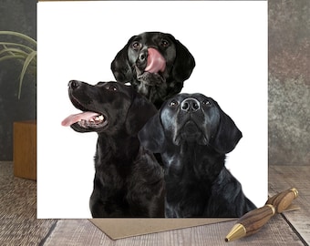 Black Labrador Greeting Card: Three Labradors, Dog Lover Card