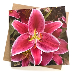 Carte de voeux de lys rose - carte de fleurs - carte de voeux de lys star gazer - carte d'anniversaire - carte d'anniversaire florale - carte d'anniversaire de fleurs