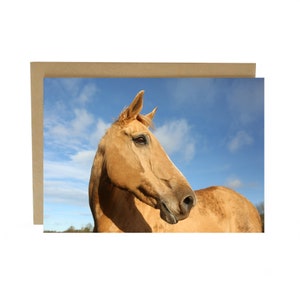 Horse greeting card - equestrian greeting card - horse birthday card - horse card - card for horse lover - Horse lover card