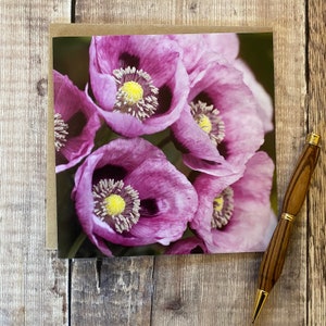 Poppy greeting card blank inside - pretty poppy card - card for autine - birthday card for female friend - flower card for friend-poppies