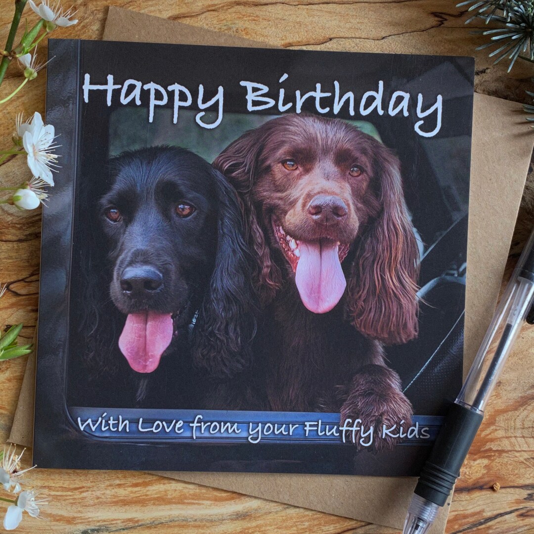 Spaniel Dog Birthday Card: From the Dogs - Etsy UK