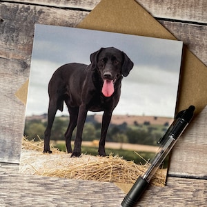 Black Labrador greeting card- black Labrador birthday card - dog card - Labrador retriever card - black lab card - Lab birthday card