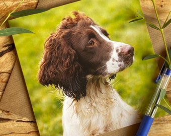 Wenskaart springer-spaniël - Did You Call - wenskaart met werkhond springer-spaniël op de voorkant - wenskaart spaniel
