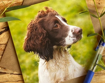 Springer spaniel greeting card - Did You Call - greeting card with working dog Springer spaniel on the front - spaniel greeting card