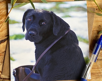Black Labrador Portrait Greeting Card: Snowy Scene