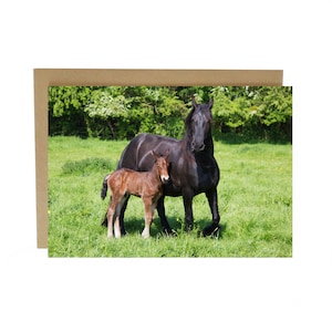 Carte de voeux mère et poulain - carte avec mère et poulain - carte de voeux équestre - carte de voeux cheval - carte d'amant des chevaux - carte de cheval