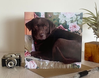 Chocolate Labrador Greeting Card: Dog Lover Gift
