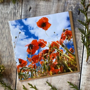 Poppy greeting card blank inside - pretty poppy card - Poppy Card - poppy field greeting card - red poppies on card