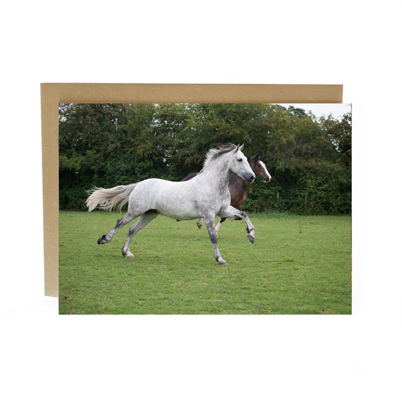 Tarjeta de felicitación del caballo dos caballos corriendo | Etsy México