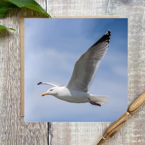 Zeemeeuwwenskaart - zeemeeuw vliegt in een mooie blauwe lucht - kerstkaart - zeemeeuwkaart - Britse vogels