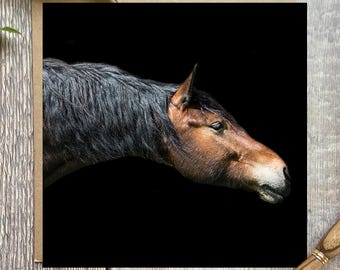 Horse Greeting Card: Fine Art Portrait, Equestrian Gift
