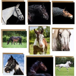 Lot de 5 cartes de voeux chevaux - cartes de voeux équestres - paquet de cartes de voeux chevaux - sélection de cartes de voeux chevaux