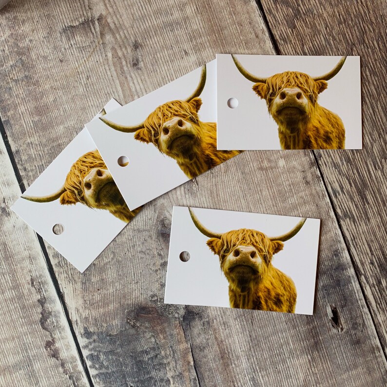 Highland Cow Wrapping Paper Highland Cow Gift Wrap Etsy UK
