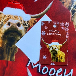 Cow Wrapping Paper, Moo Wrapping Paper, Farm Wrapping Paper Gift