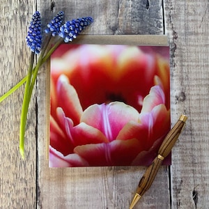 Tulip card - flower card - flower birthday card - tulip greeting card- greeting card with pink tulip - female flower birthday card - mom