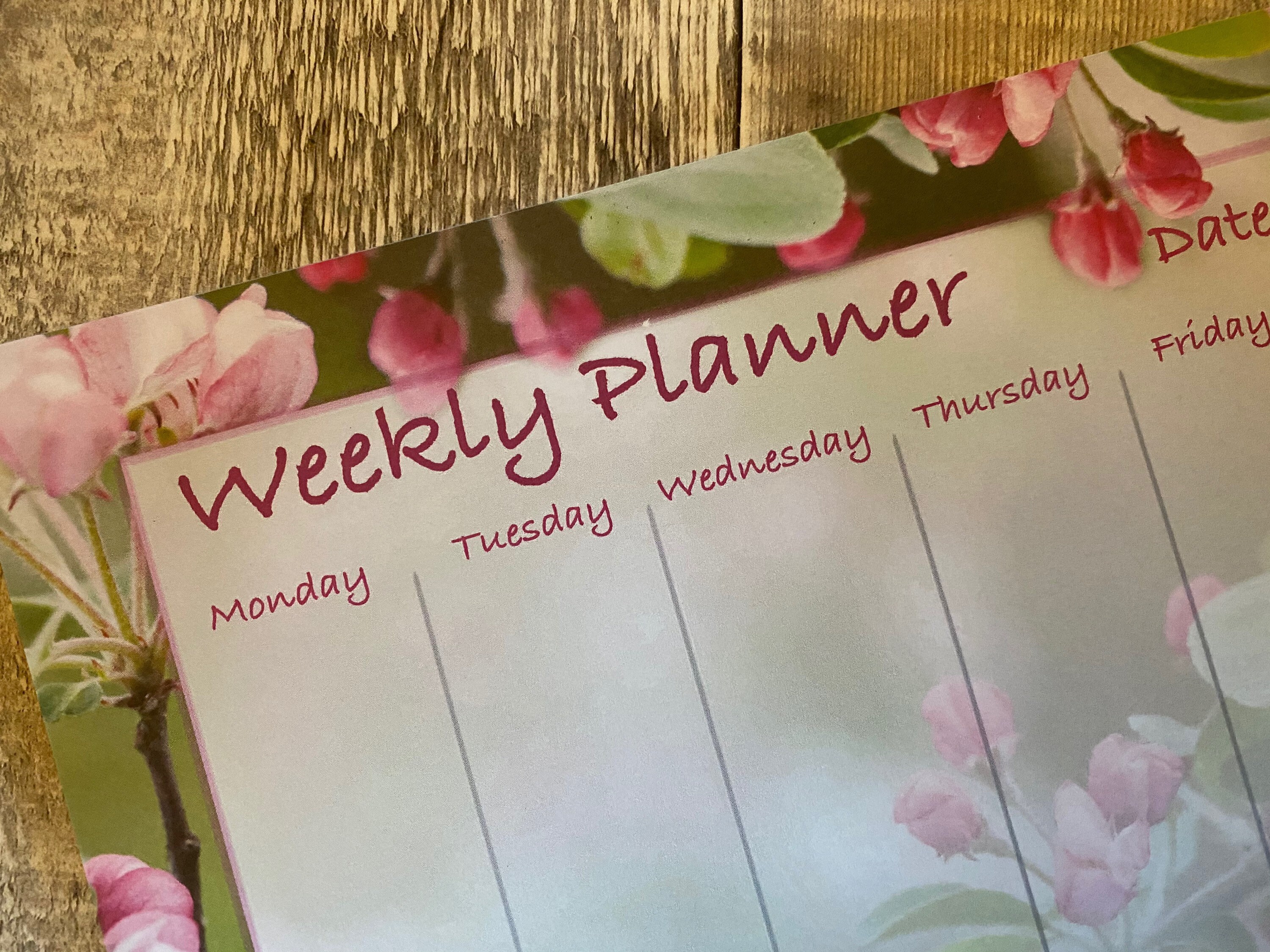 E&G Class,Agenda Semanal Para Hacer Notas, Bocetos, Listas De La