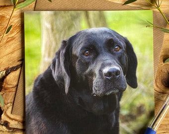 Old Black Labrador Greeting Card: Dog Lover Blank Card