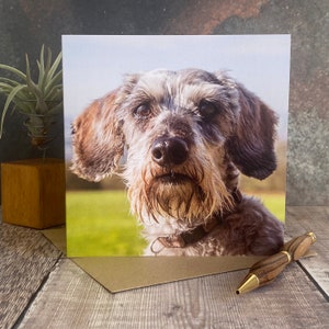 Wire haired Daschund greeting card - dog birthday card - wire haired dog card - Blank inside any occasion card - Daschund card