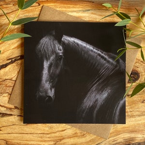 Black Fresian Horse greeting card - Black beauty greeting card - Black horse fine art greeting card - Horse lover card