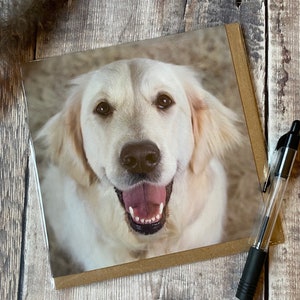 Golden Retriever-wenskaart - smileygezichten Golden Retriever-kaart - kaart lachende hond - portretkaart retriever - kaart retriever