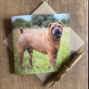 Carte de voeux pour chien Shar Pei - carte d'anniversaire pour chien - carte pour chien Shar Pei - carte pour amoureux des chiens - carte vierge - carte pour amoureux des chiens