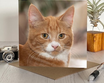 Cat greeting card- greeting card with a lovely ginger cat on the front - Cat birthday card - cat card - ginger kitten card - ginger cat