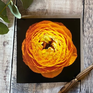 Carte de voeux fleur de renoncule - carte d'anniversaire de renoncule orange - carte florale - carte d'anniversaire de fleur - cadeau renoncule