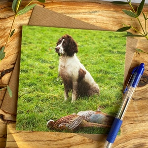 Wenskaart spaniël - kaart springerspaniël - spaniël met zijn fazanten - springerspaniël - verjaardagskaart hond - kaart fazantspruit