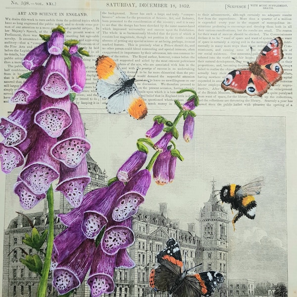 Bee and foxglove print - vieux journal - print - London newspaper painting - Butterfly Print - peinture sur papier journal