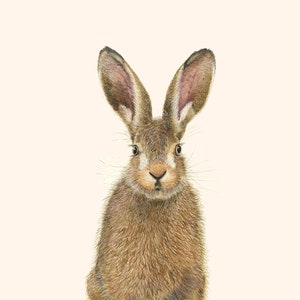 Hare Print - A4 print - Hare Picture - Hare painting - Jackrabbit - Watercolour Hare - Hare Wall Art - Rabbit Print - British Wildlife Print