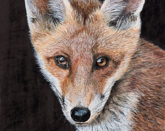 Fox Print - Wildlife Print - Nature - Fox - Wal Art - Painting - Wildlife Art - Nature Lover - Gift Wrapped