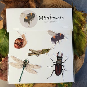 Minibeasts, adesivi per animali selvatici.