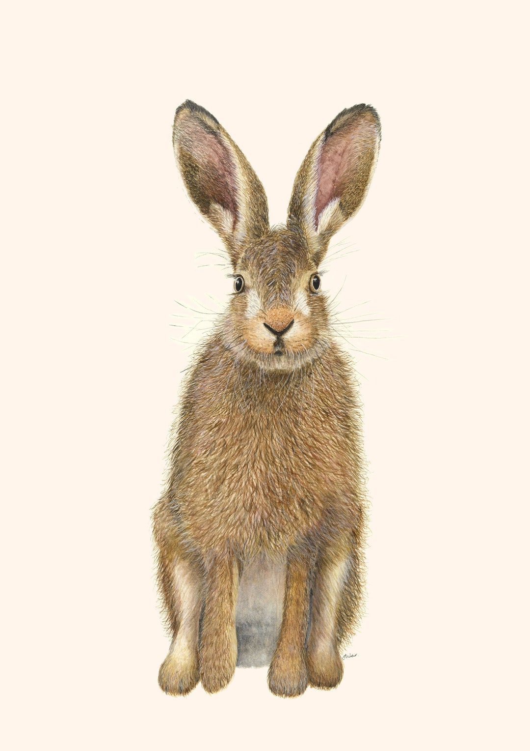 Hare Print A3 Print Hare Painting Jackrabbit Hare Illustration Wildlife