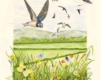 Here comes Spring - 11" x 14" print - watercolour- nature -vintage style - painting - wildlife painting - swallows - swifts - countryside