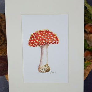 Pilz-Druck - Giclée-Aquarell-Druck - Pilze
