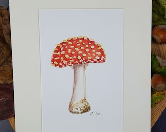 Mushroom Print - Giclee- Watercolour Print - Fungi