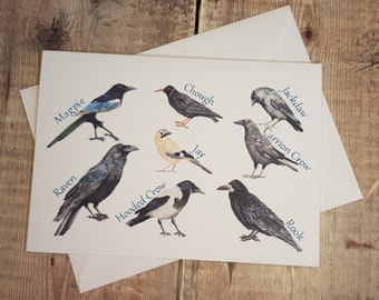 Bird Card - corvids- greetings card - blank inside - card for all occasions - wildlife card - British bird card - crow - raven - magpie