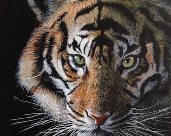 Tiger Print - Limited Edition - Giclee Print - Wildlife Art - Big Cat - Wildlife