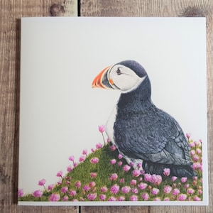 Puffin Card - Blank inside - Puffin Greetings Card - Puffin Birthday Card - Puffin - Wildlife - Bird Lover