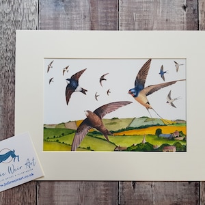 Swallow Print - Swift Print - Swallow Painting - Country Style - Mounted Print - Swallow Art - Barn Swallow - Fine Art Print - Common Swift
