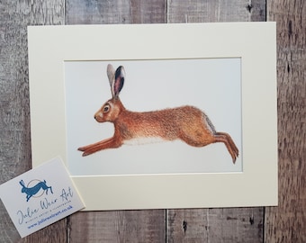 Hare Print - Hare Painting - Hare Watercolour - Hare picture - Rabbit Print - Wildlife Print - Wildlife Art - Hare Art Print - Jackrabbit