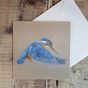 Biglietto Kingfisher - biglietto bianco - biglietto di auguri - Fauna selvatica - Kingfisher - biglietto di compleanno - regalo della fauna selvatica