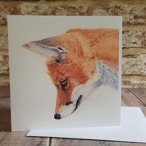 Fox Card - Fox Greeting Card - Fox Birthday Card - Black card inside - Fox - Fox Lover - Fox Gift - Recycled Card - Wildlife Art - Cards