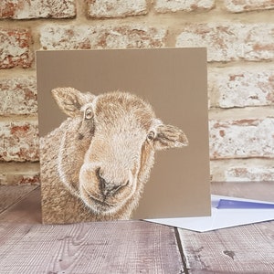 Carte de mouton - carte blanche - carte de voeux - carte d’anniversaire - animal de ferme - brebis