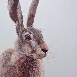 Hare Print - Hare Painting - Hare - A4 print - Pagan Hare - wildlife Lover