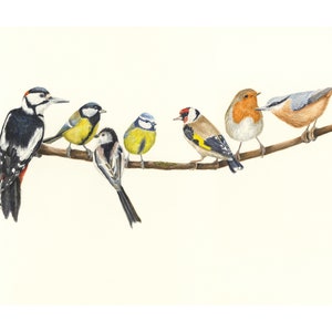 Stampa Uccello Acquerello - Arte Uccelli - Bird Print - Picchio muratore - Pettirosso - Uccelli da giardino - Amante della natura - Amante degli uccelli - Uccelli su una linea